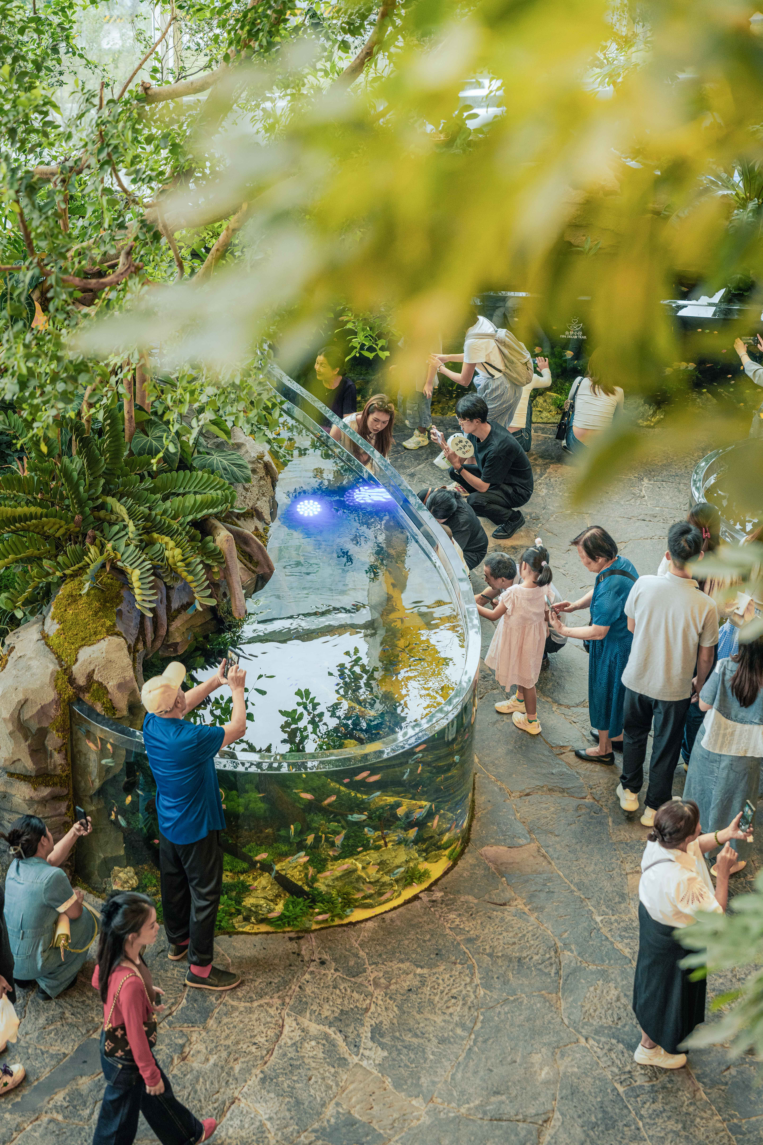 59 雨林鱼缸吸引的人不分年龄  摄影 ©陈彦舟