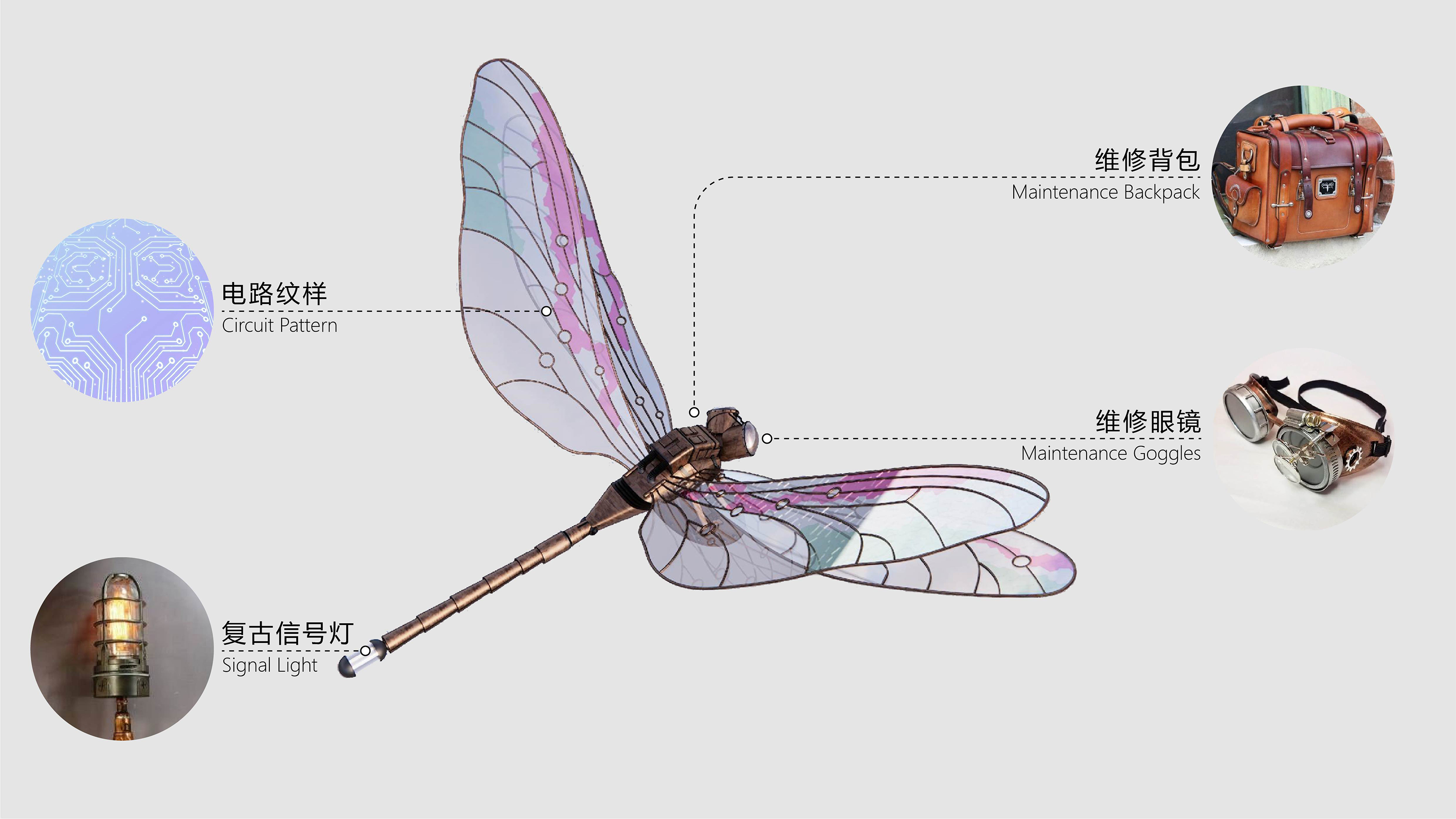 17 蜻蜓模型分析图 ©喜随设计