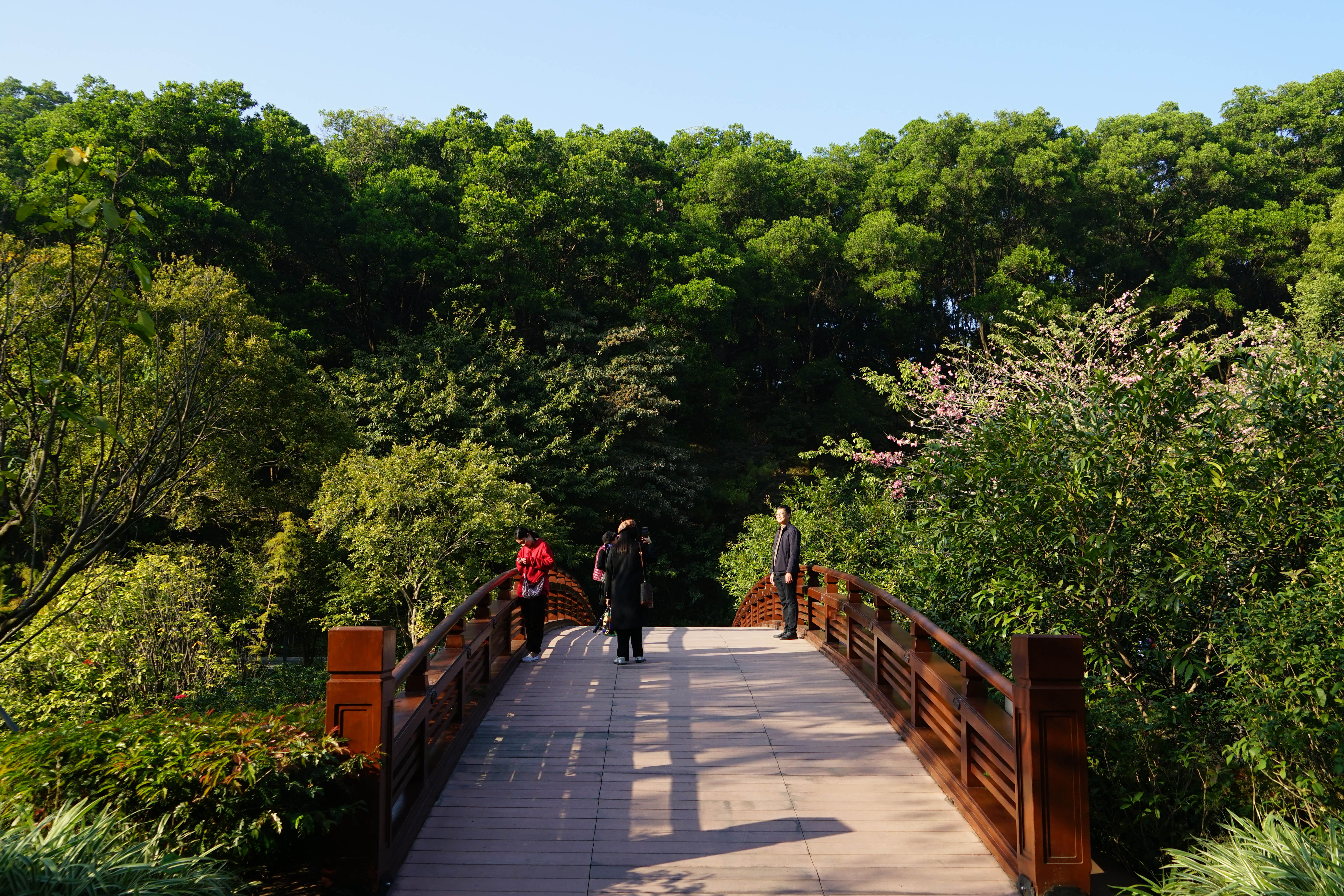虹桥 (2)(©AECOM).jpg