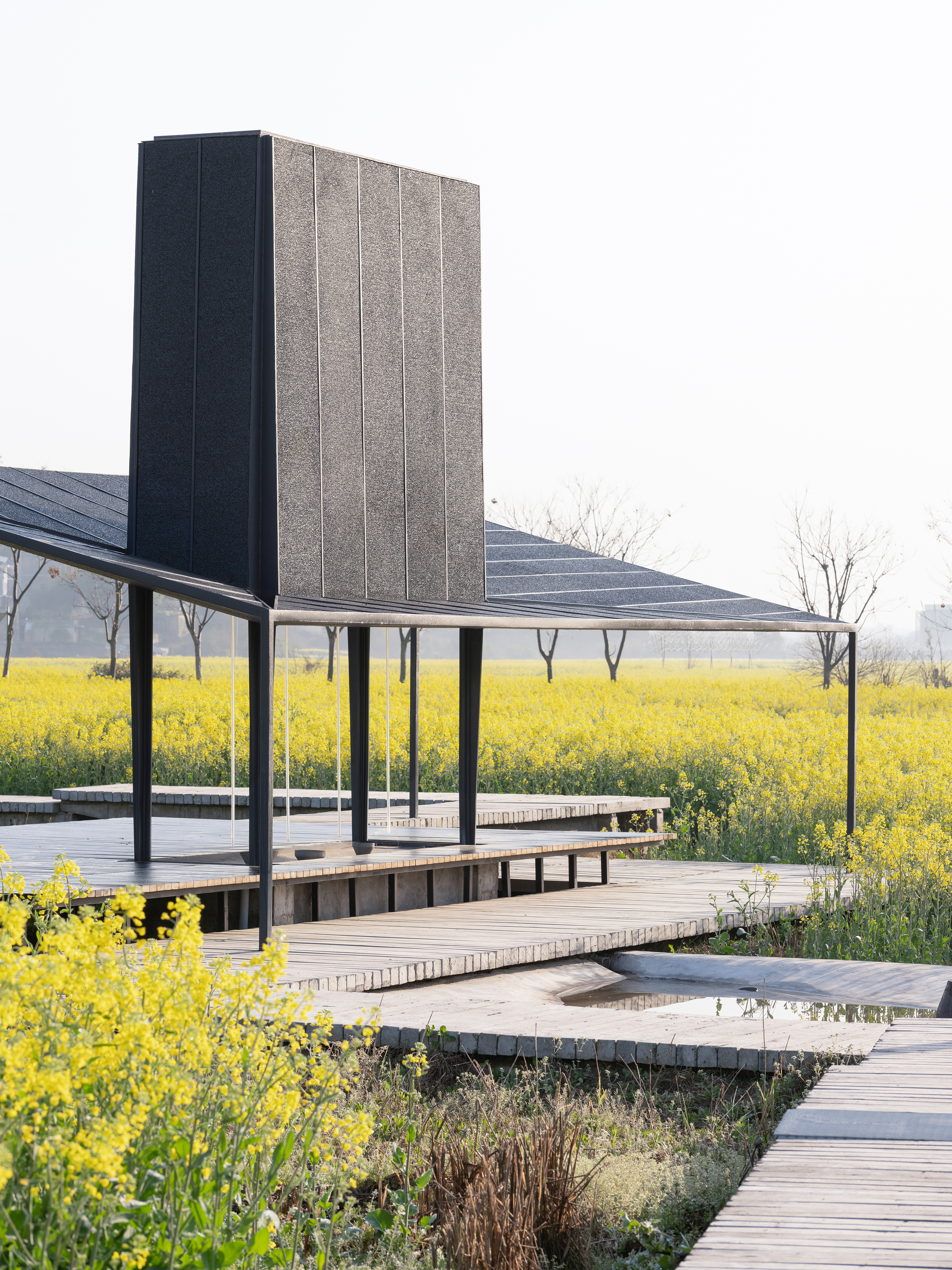 3f809963b20482a8f3cf.jpg