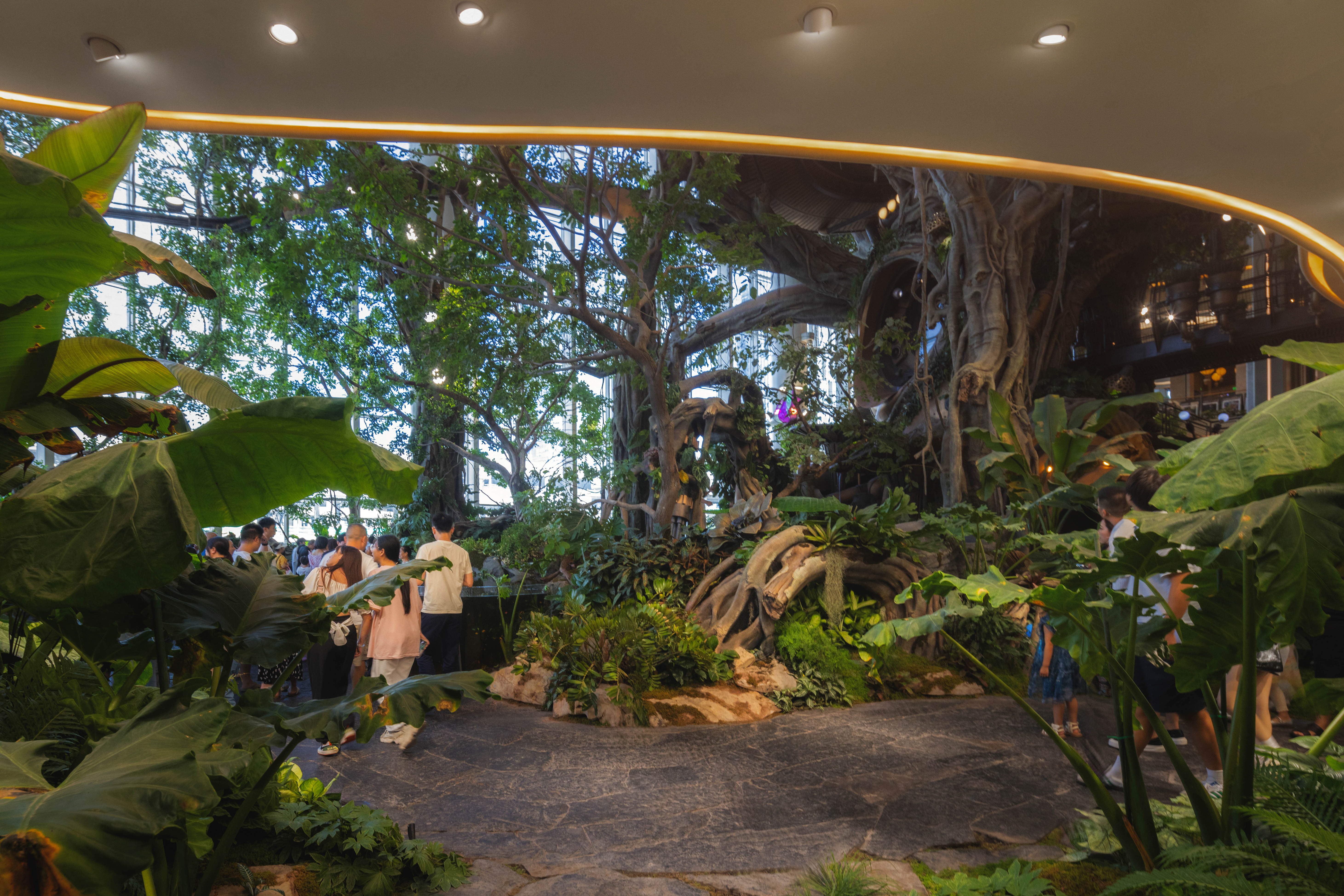 50 从1F商业看世界树  摄影©丘文三映