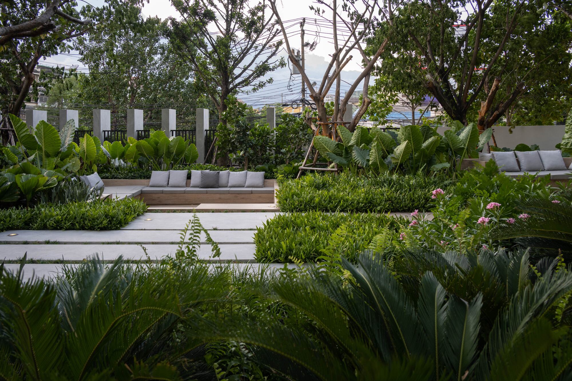 Modiz Sukhumvit 50 - 01