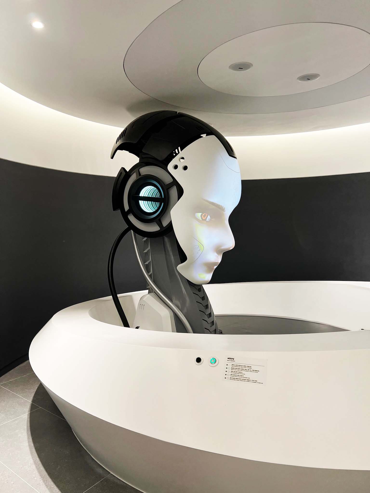 MAA - RAIM_INT_P10_A_©MAA.jpg