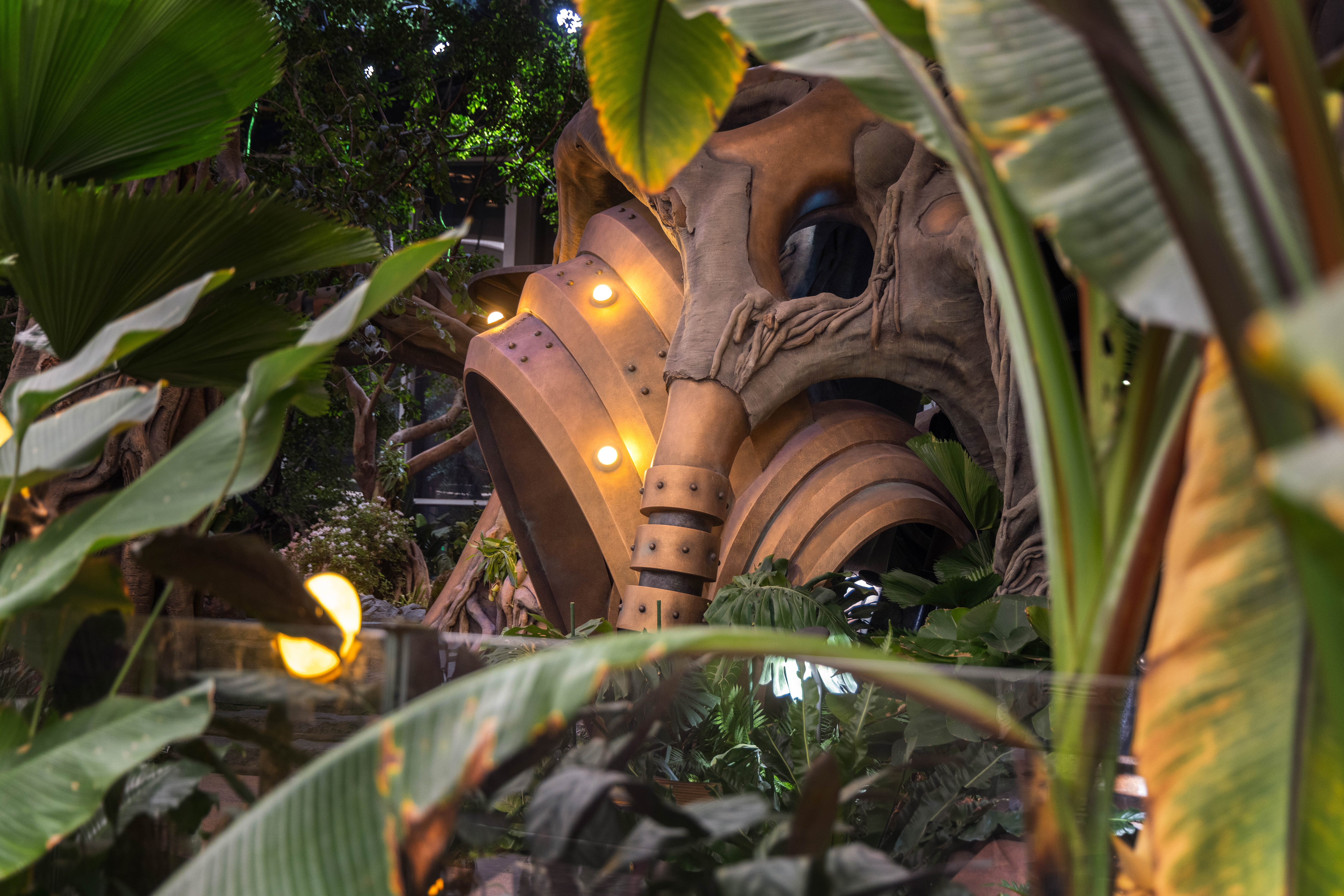 06 树洞之门  摄影©丘文三映