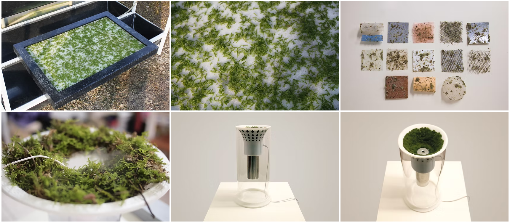 Moss Humidifier 2-1.png