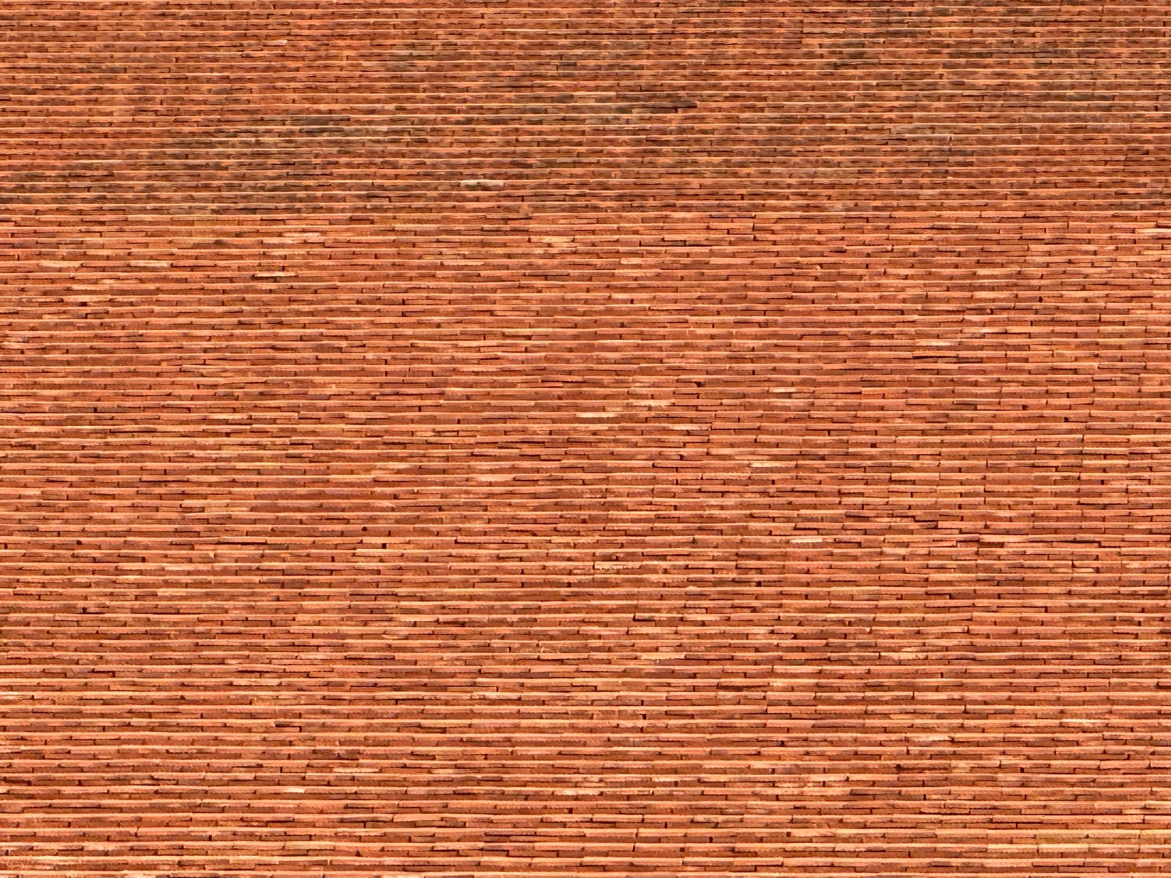 97.jpg
