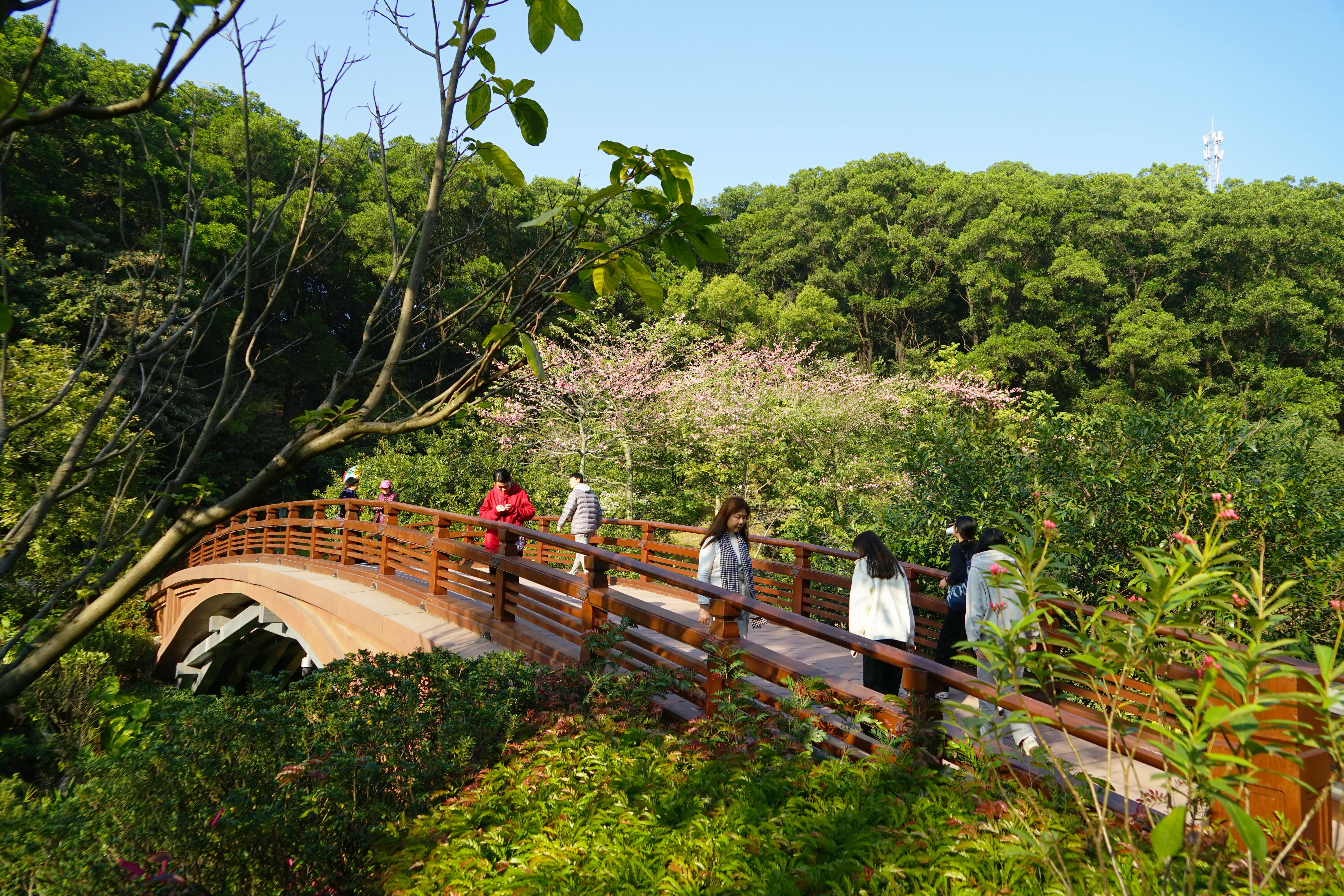 虹桥 (1)(©AECOM).jpg