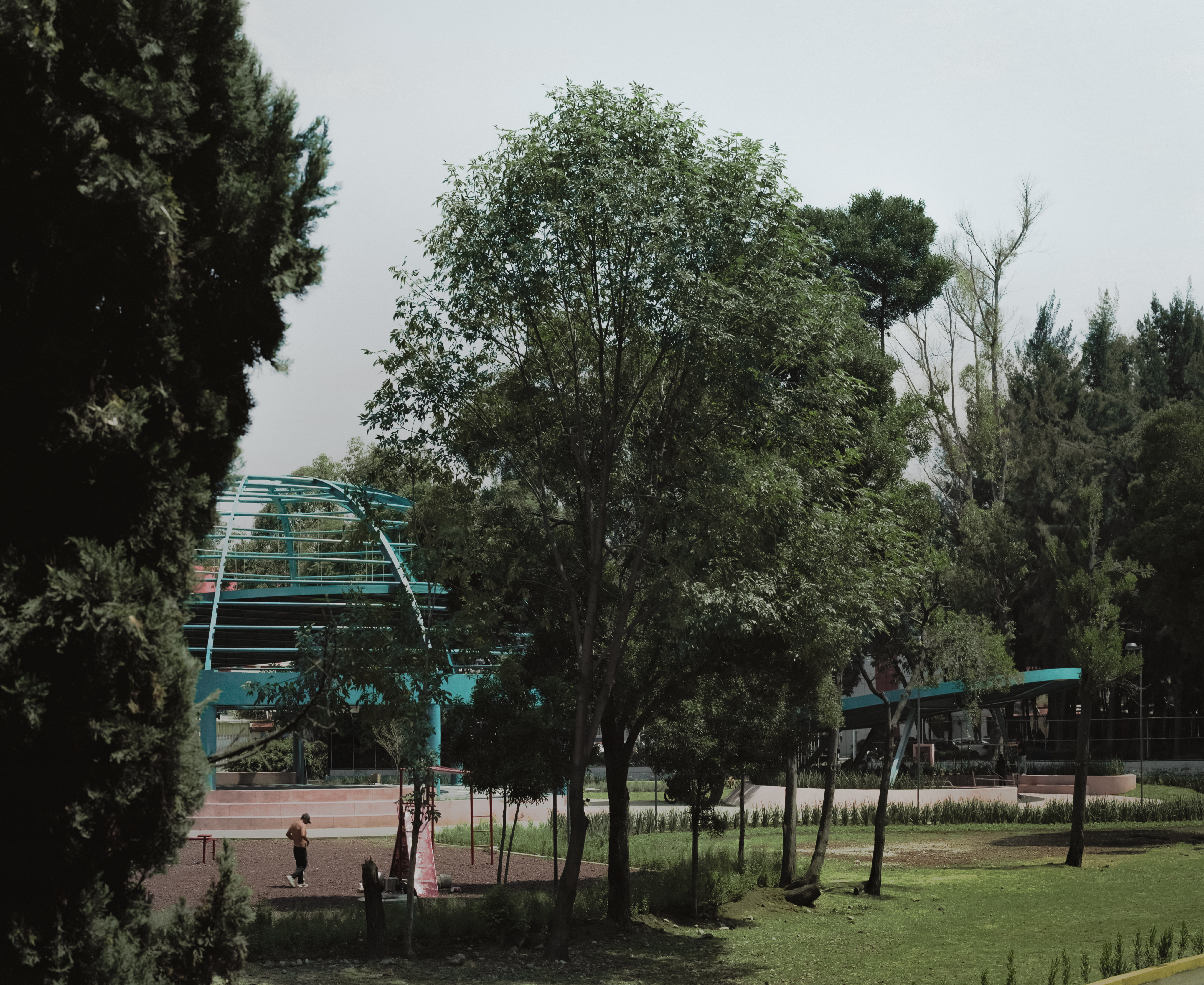 82b73b5ecea44dc927ee.jpg