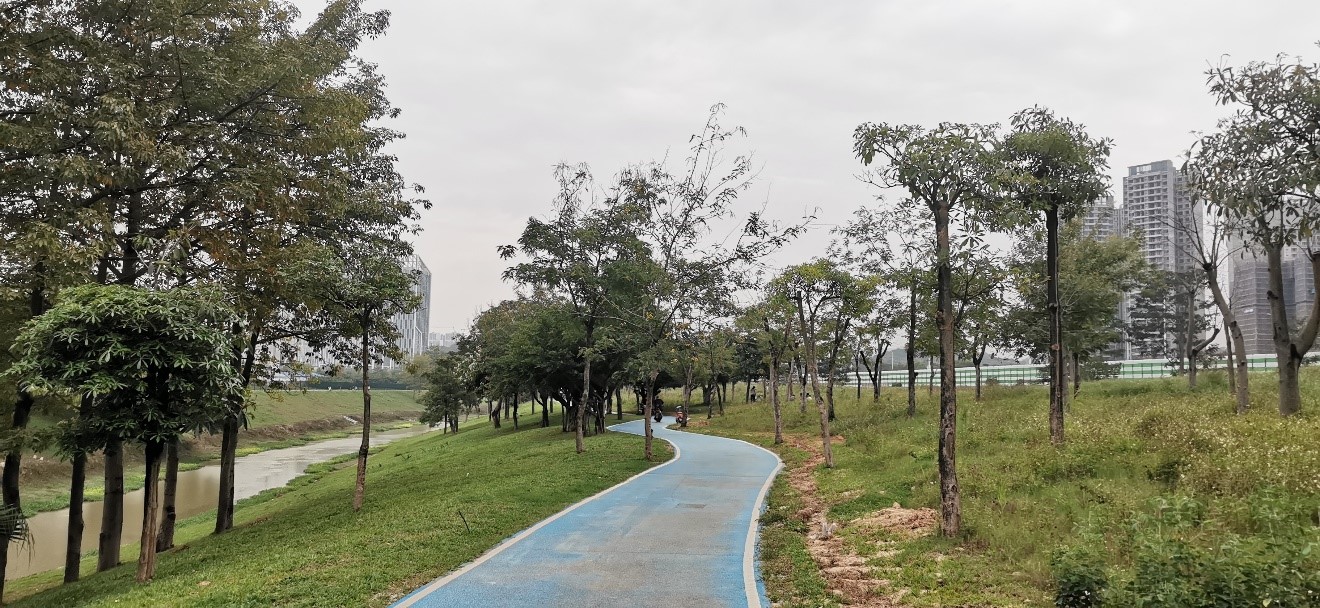 项目原貌(AECOM) (3)