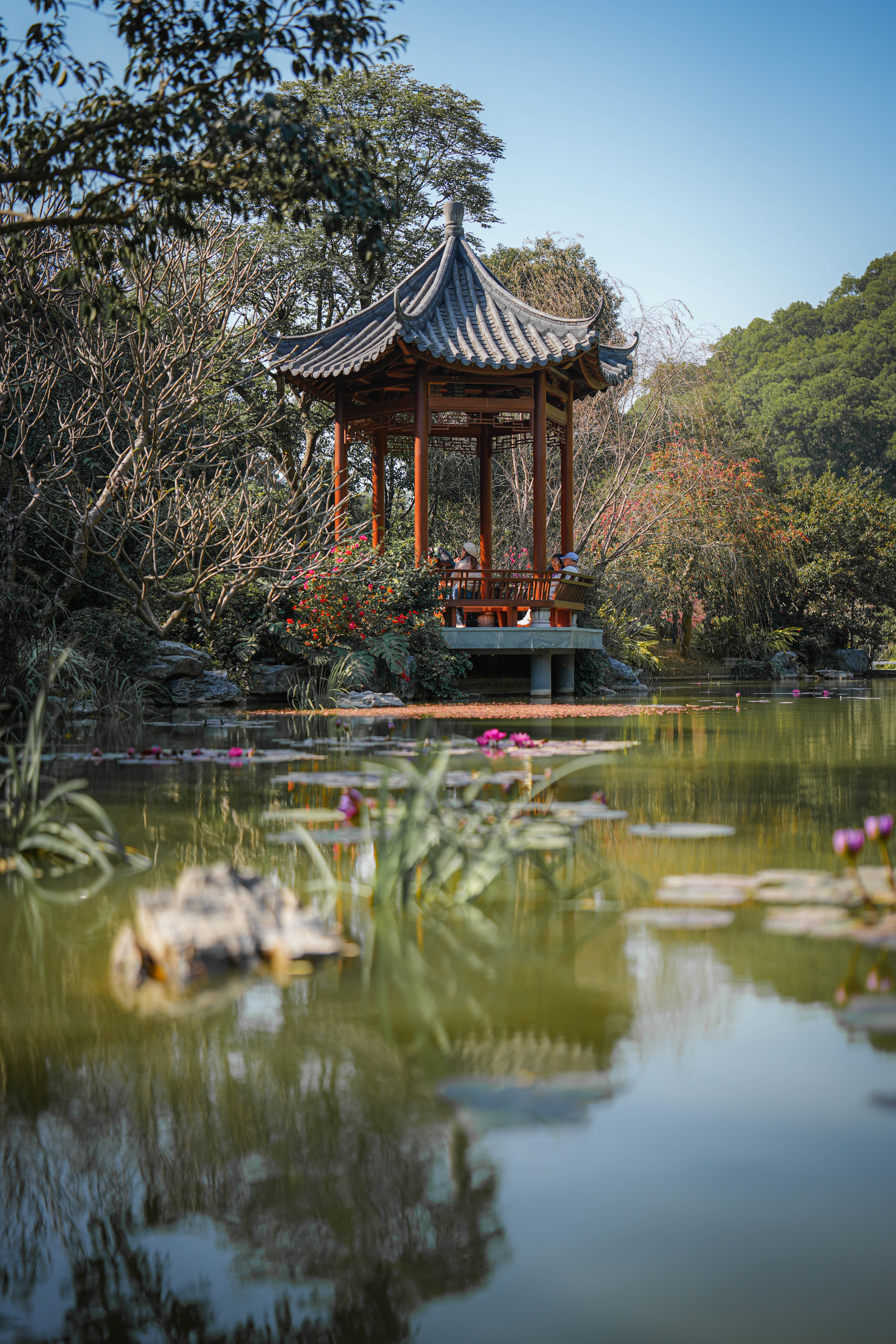 诗意云溪 (1) (版权：云溪植物园管理处）.jpg