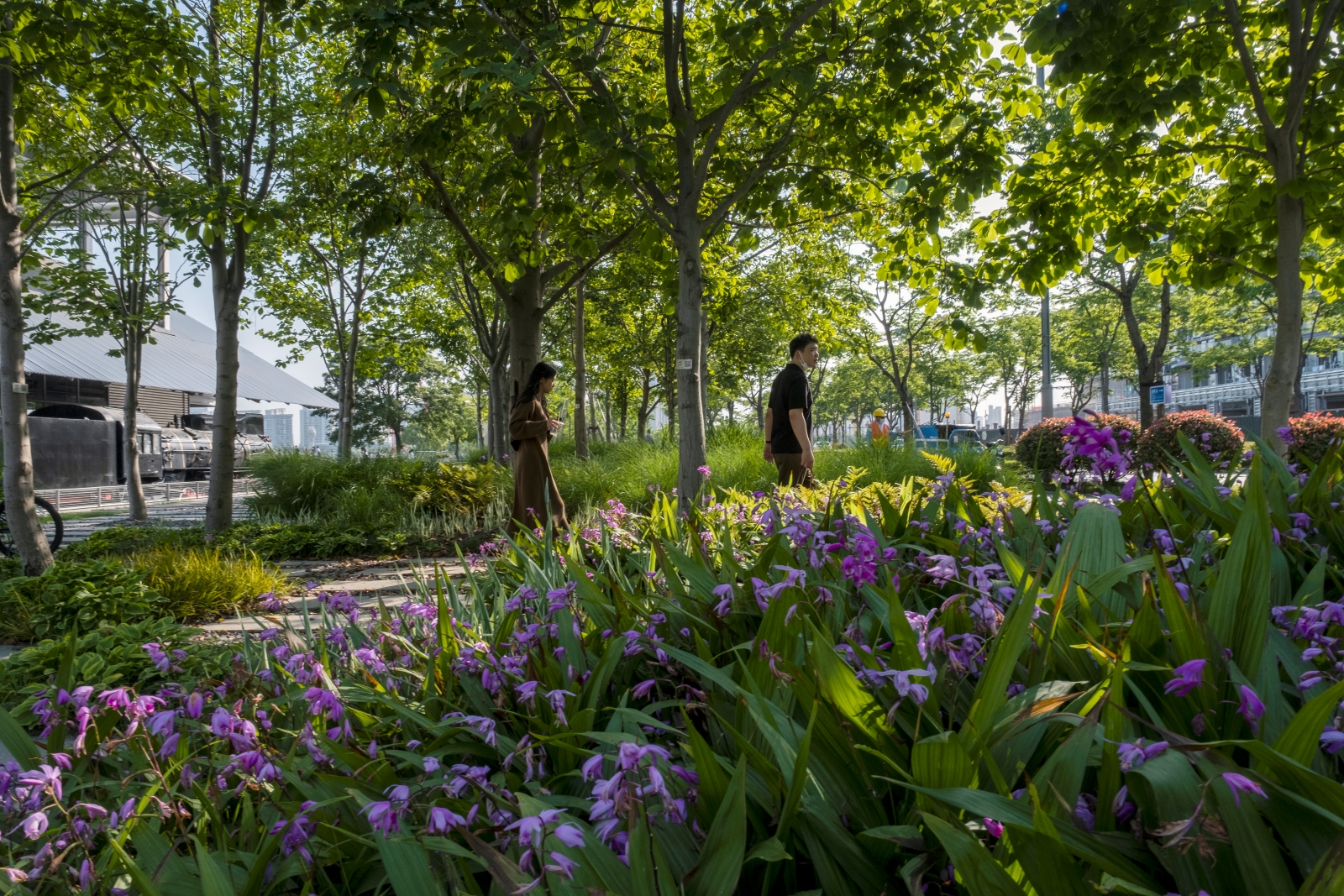 90f7a84396542e790669.JPG