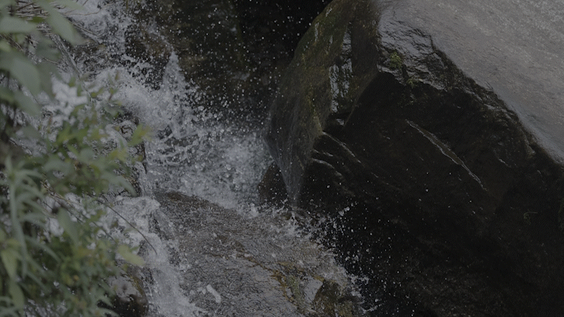9a83422cacf4312817f3.gif
