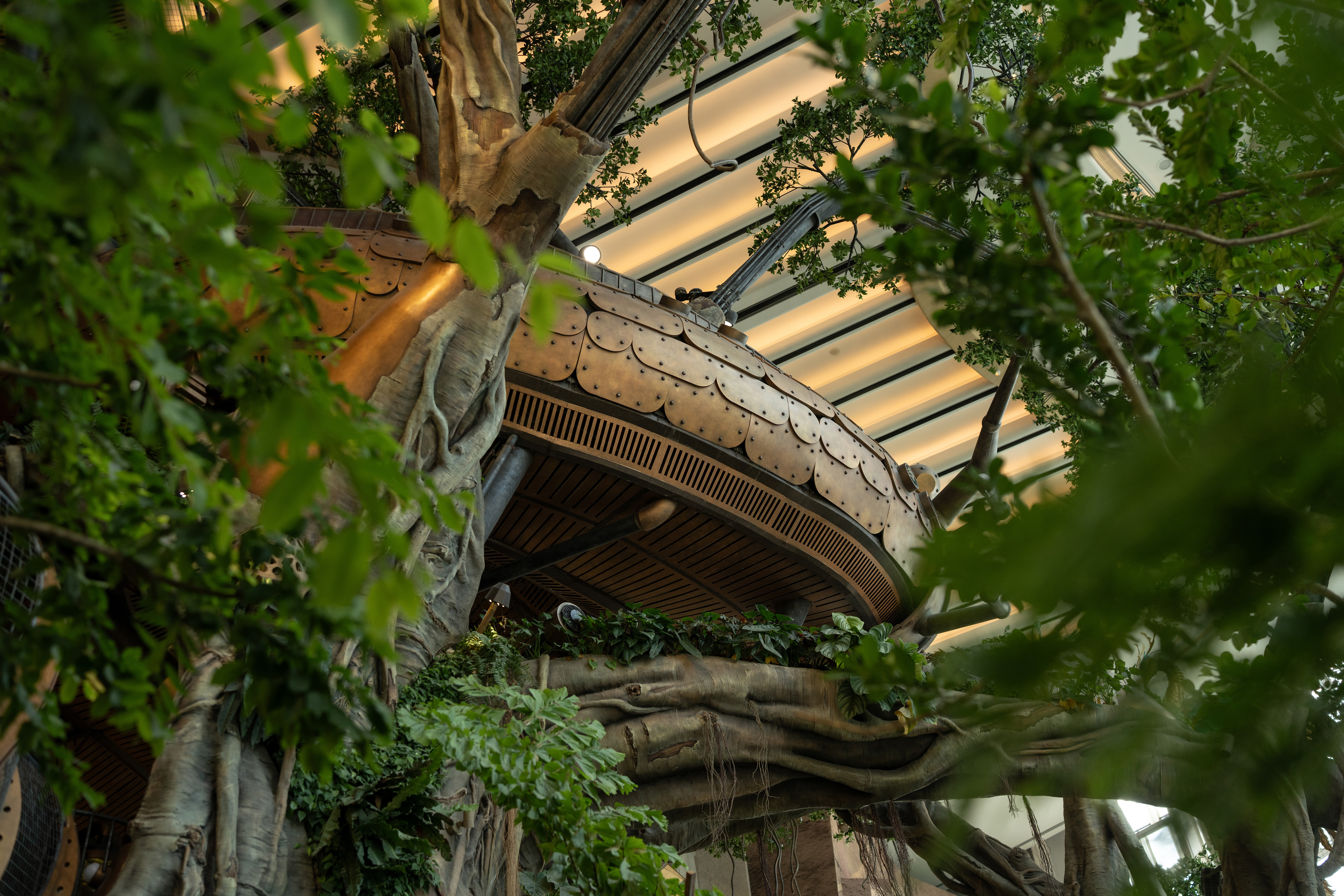 32 龙身、龙鳞  摄影©三棱镜