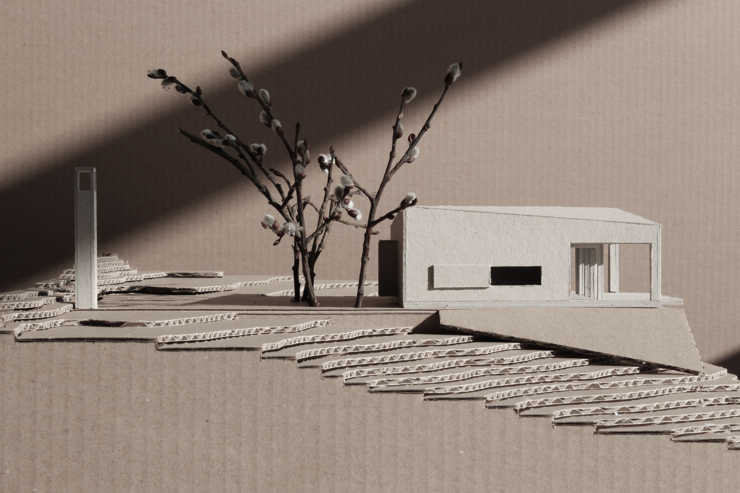 09-model.jpg