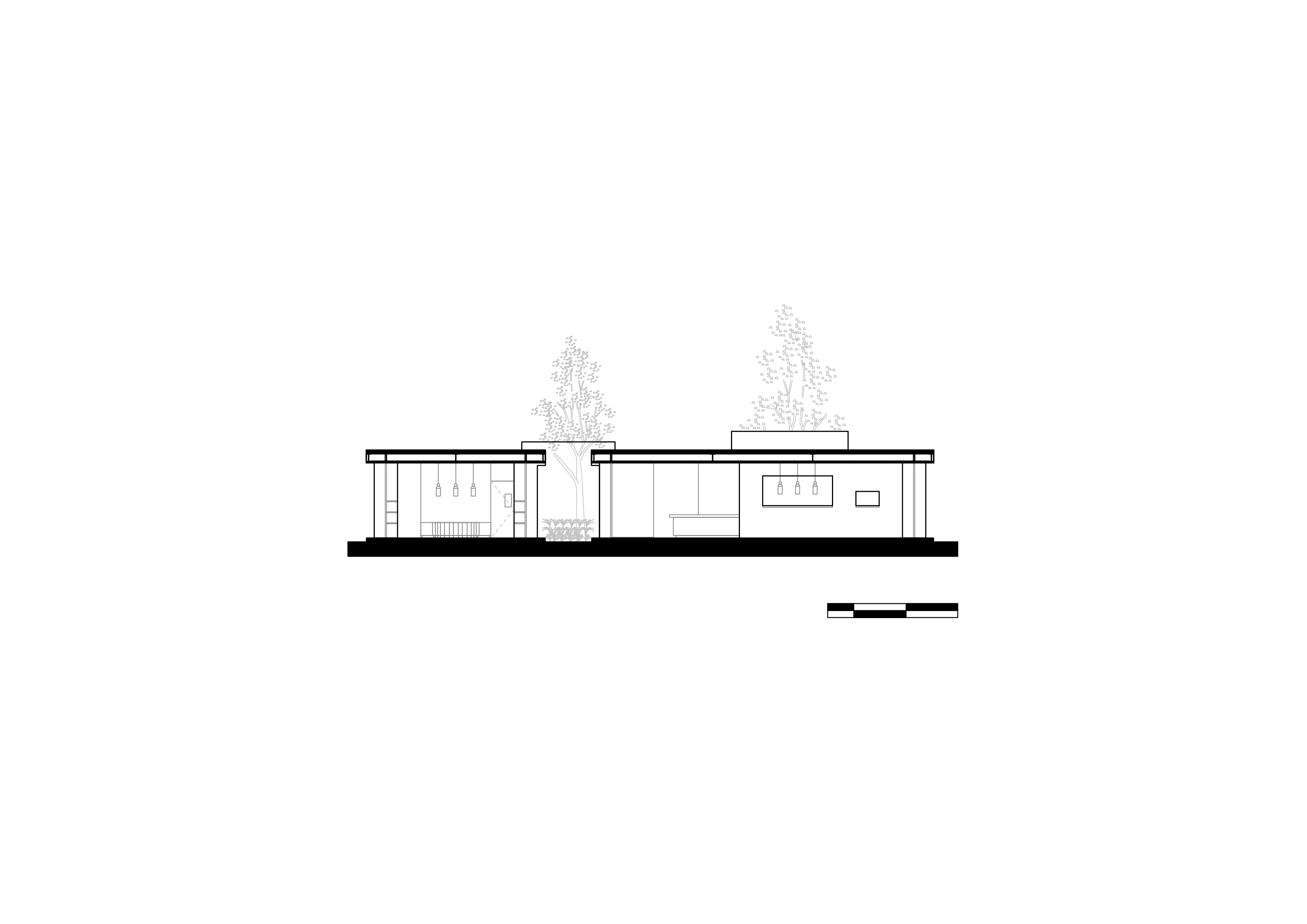 Transversal Section