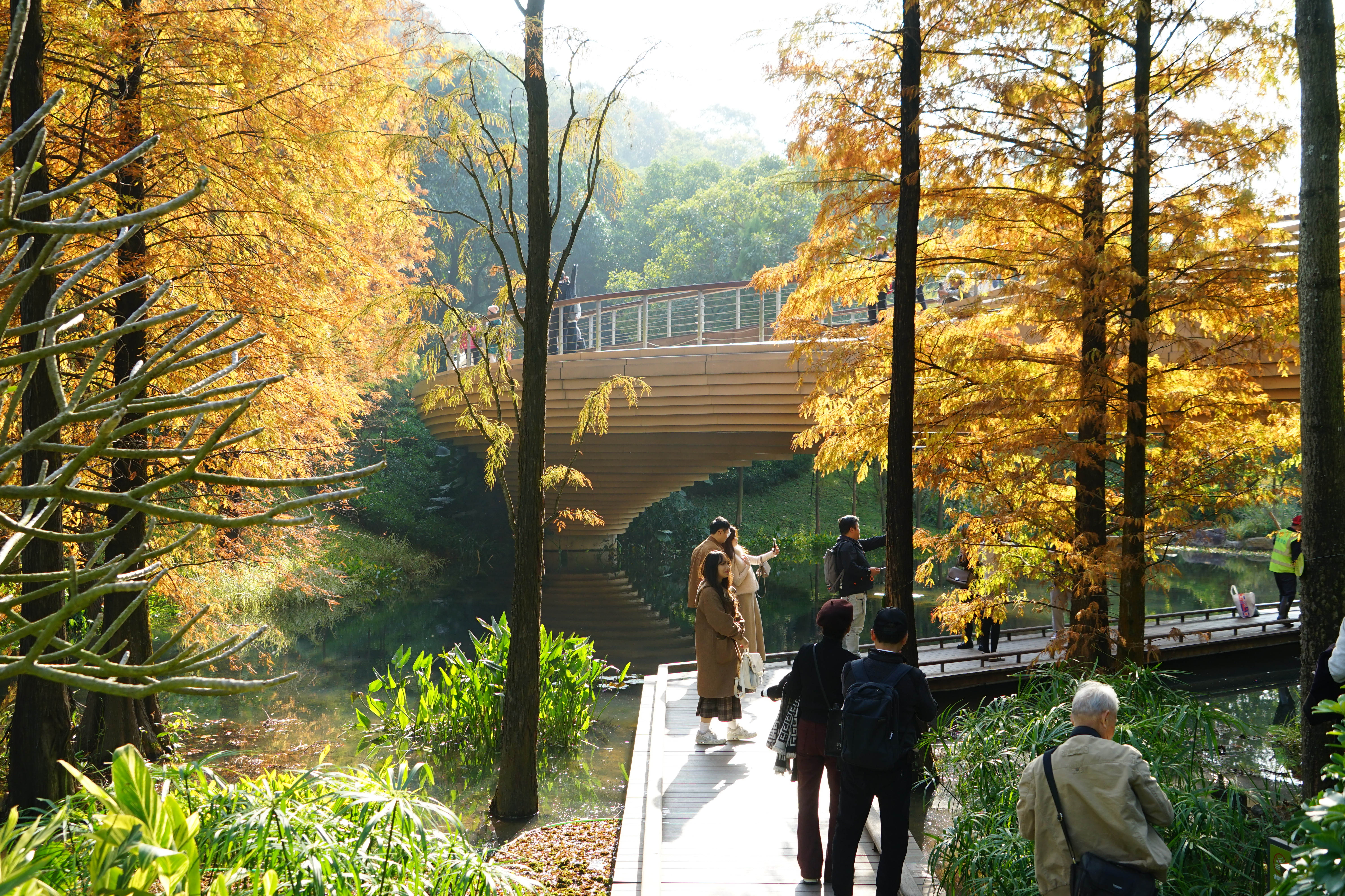 绽放云溪 (1) (©AECOM).jpg