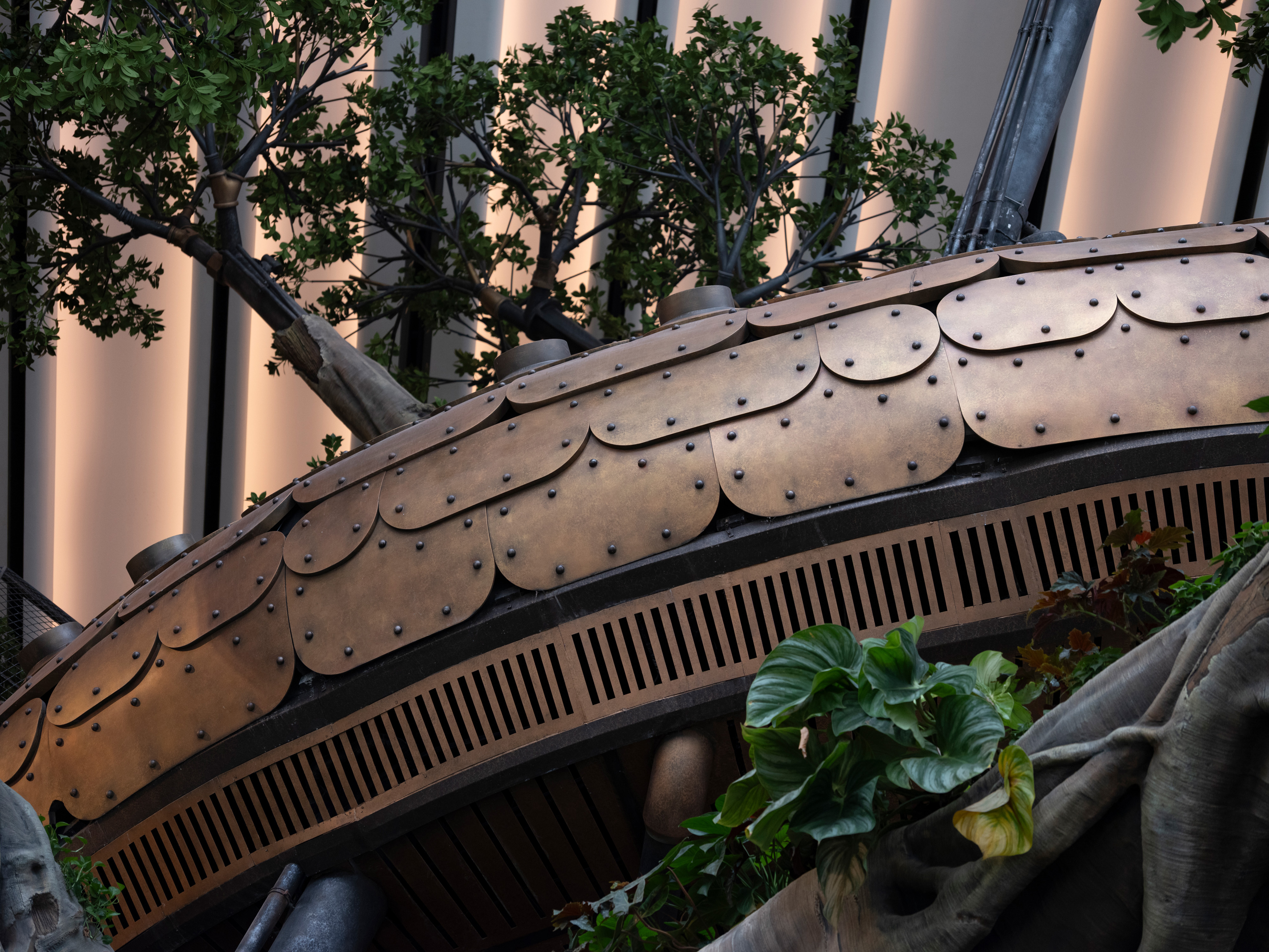 42 枝叶组团  摄影©胡一昊