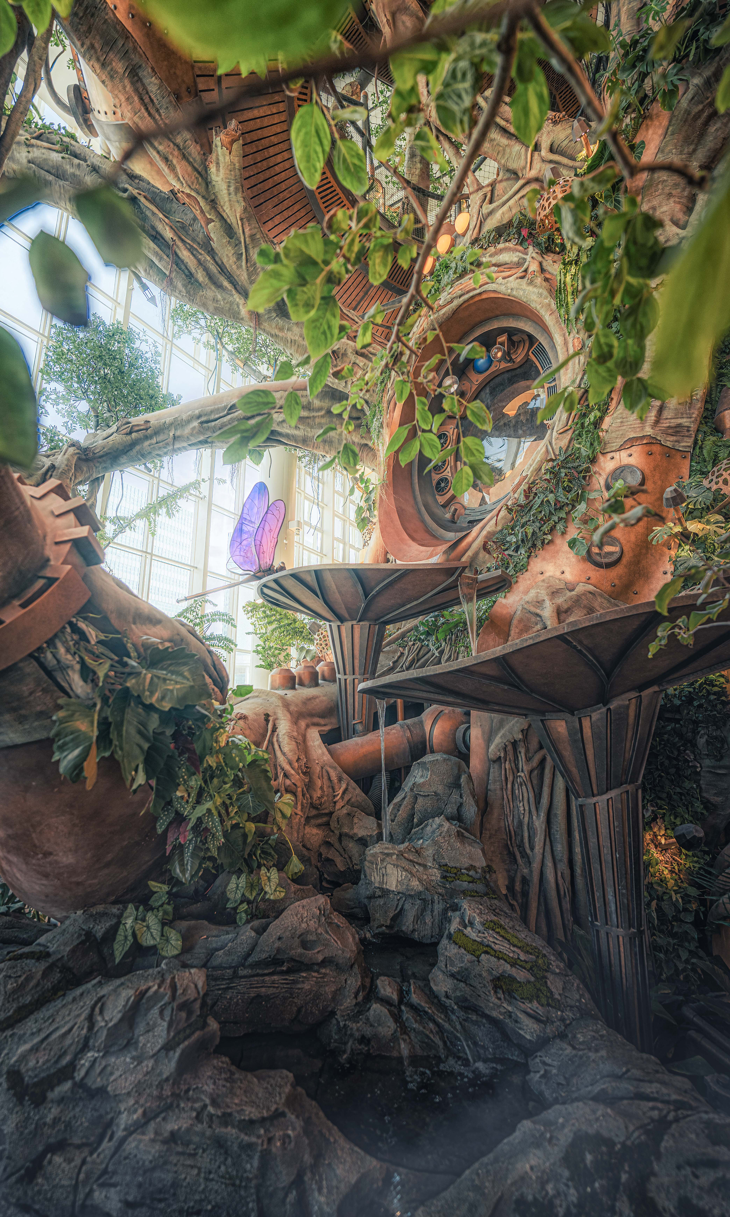 30 停在荷叶上的蜻蜓  摄影©陈彦舟