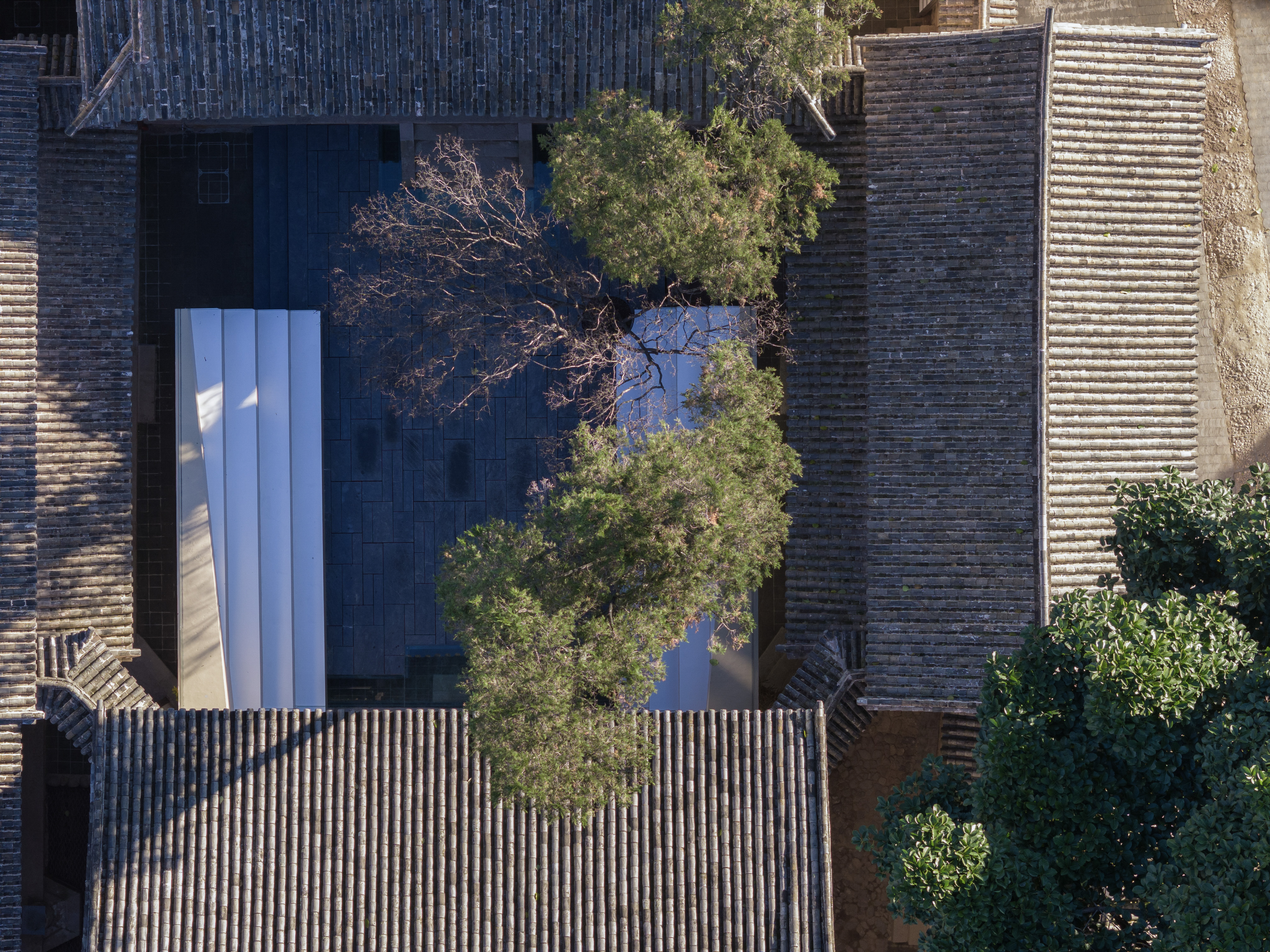 21 书廊俯瞰 Overlook to book gallery ©存在建筑-建筑摄影 Arch-Exist Photography.jpg