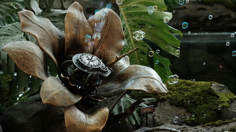 37 机械花吐泡泡  摄影©胡一昊