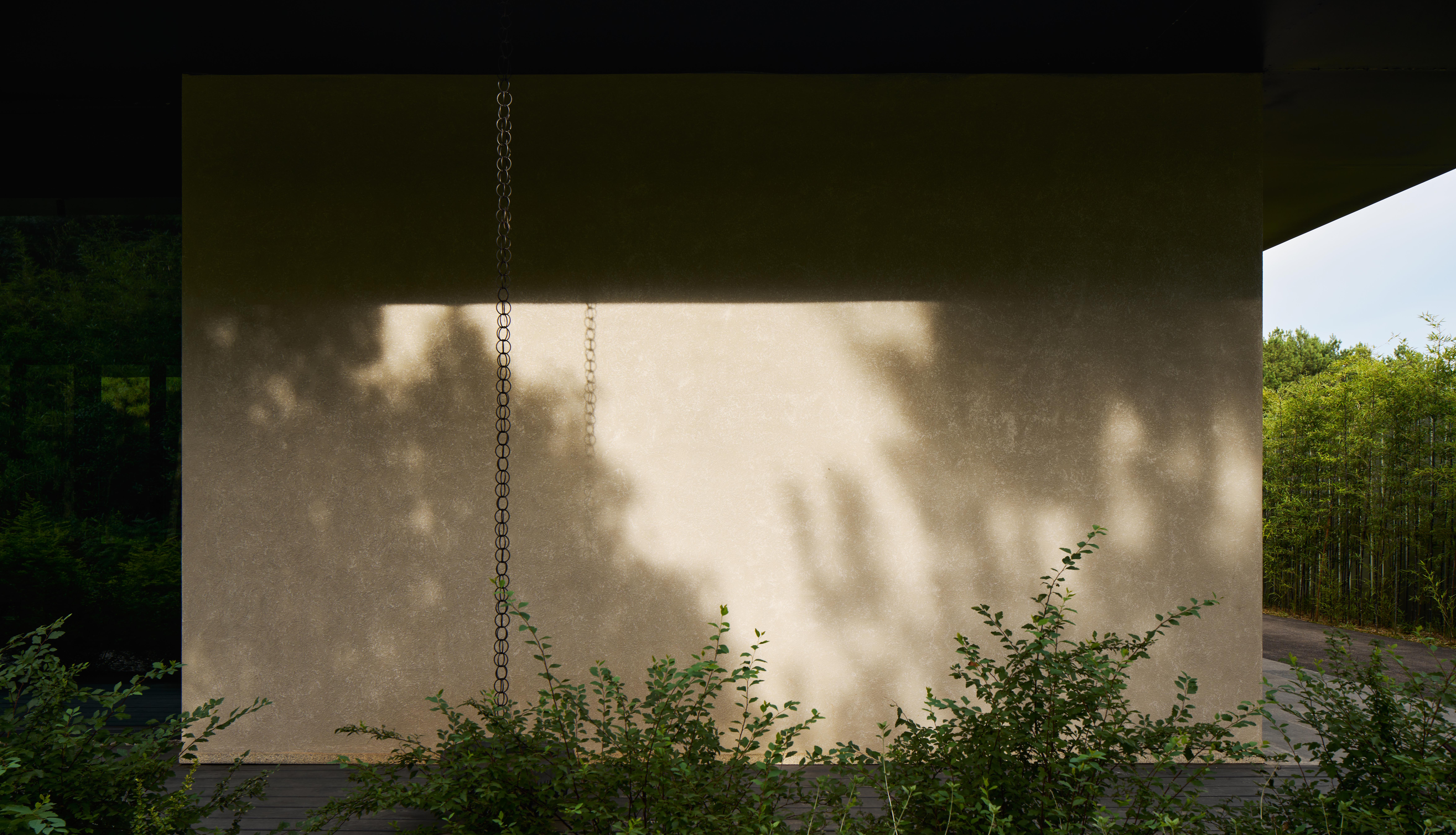 d1ce97a5b1648738907e.jpg