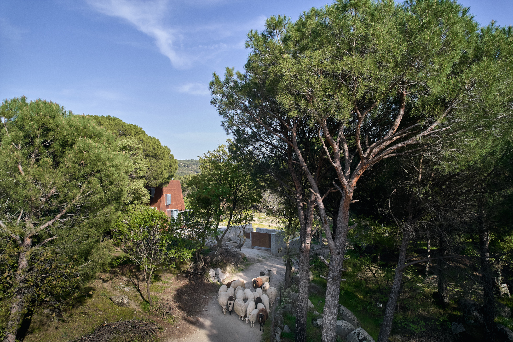 EKAPd0536_ciwM © 2025.jpg