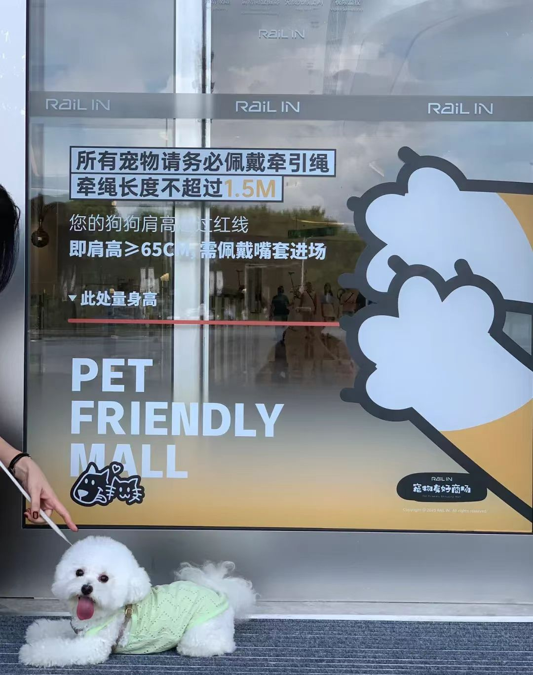d851e70eb5e4de8b1517.png