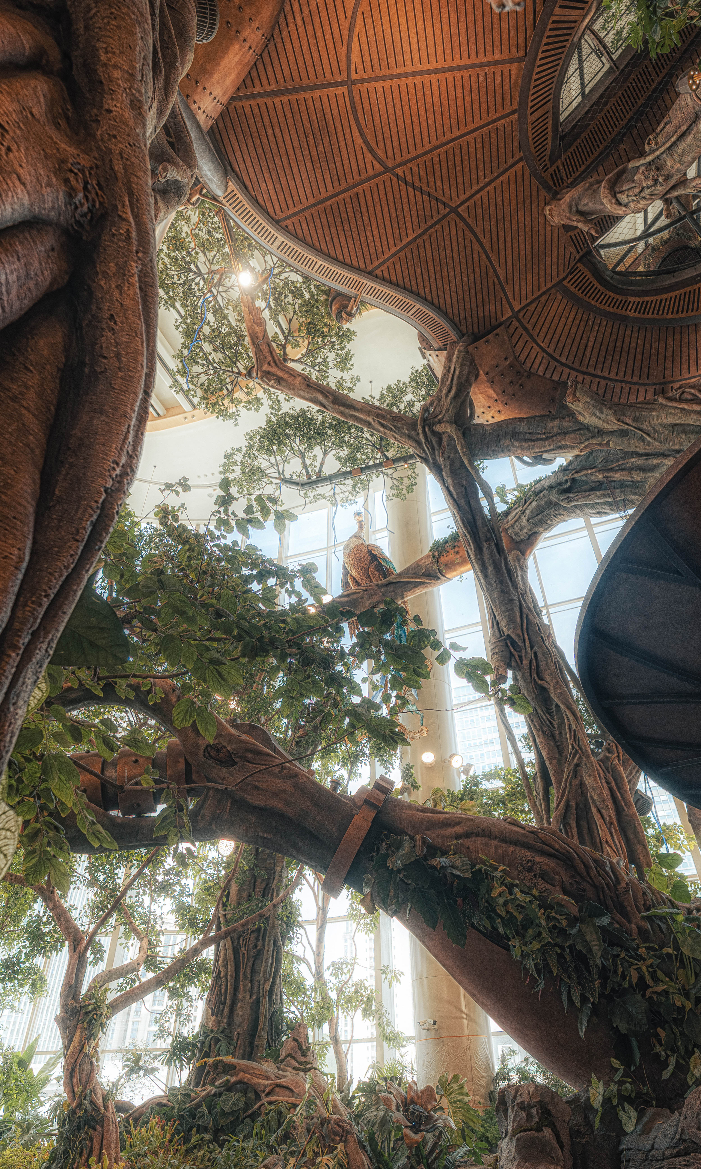 02 一只神鸟高昂站立于这片森林之上 摄影©陈彦舟