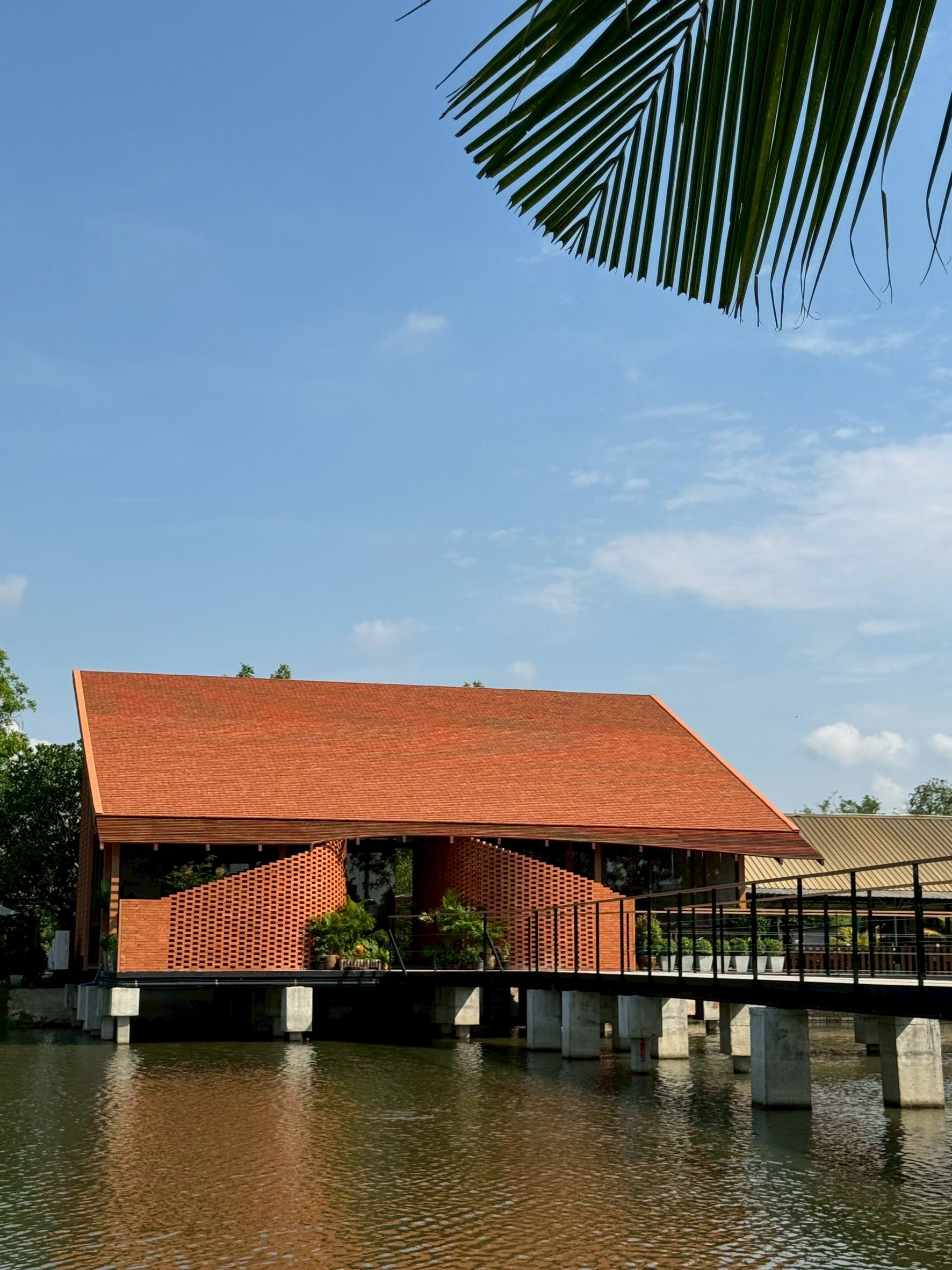 96.jpg