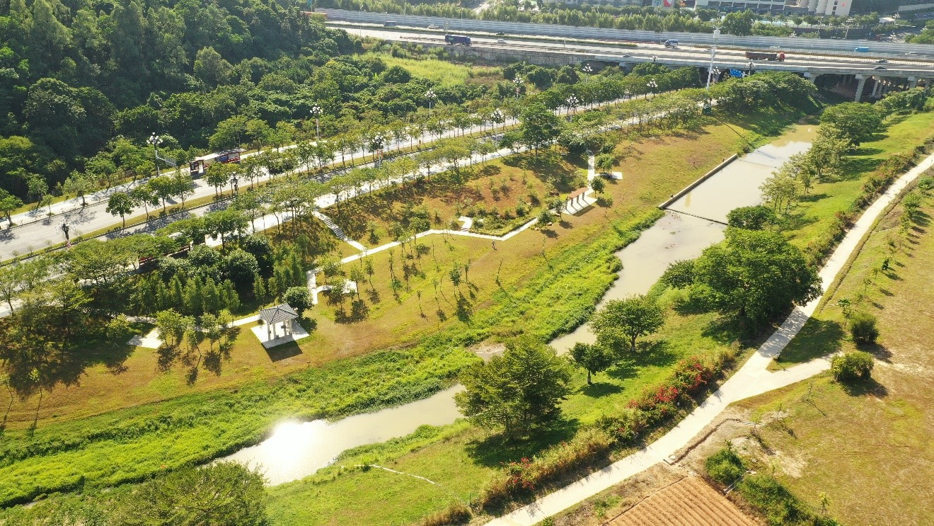 项目原貌(AECOM) (5)